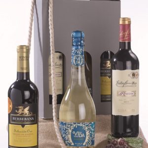 LOTE-Nº110.jpg