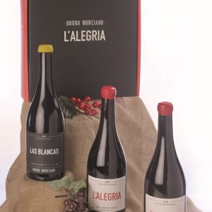 LOTE-Nº77-1.jpg